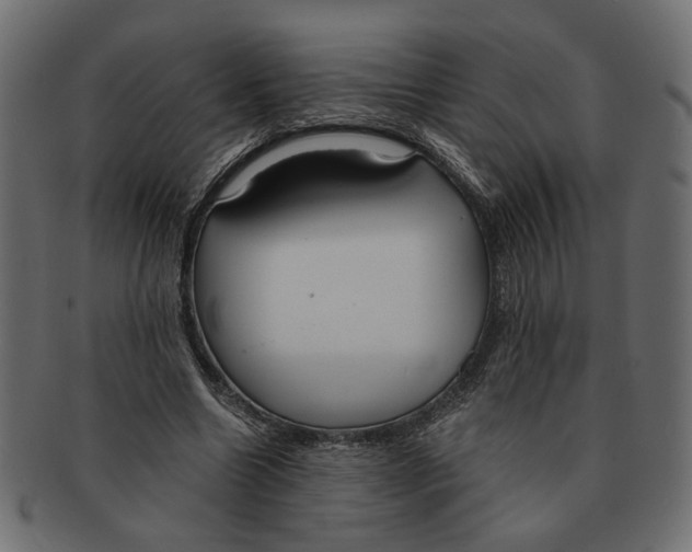 X0000091680538200709201241