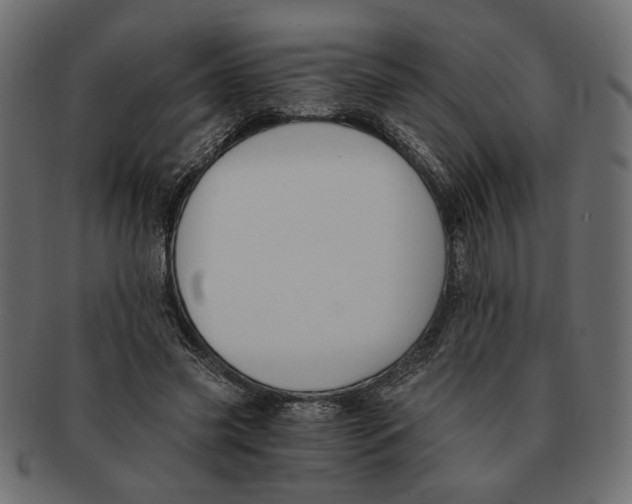 X0000091680541200709201241