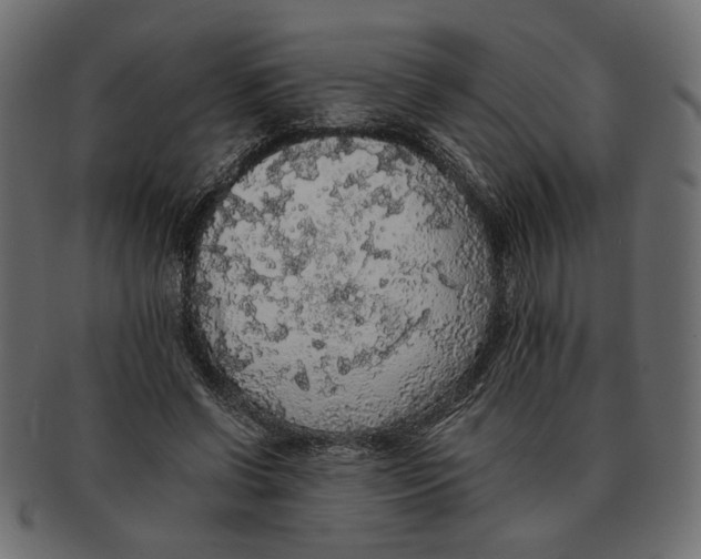 X0000091680542200709201241