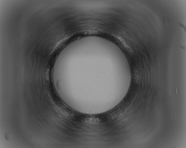 X0000091680543200709201241