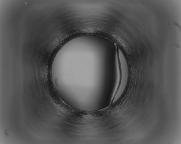 X0000091680544200709201241