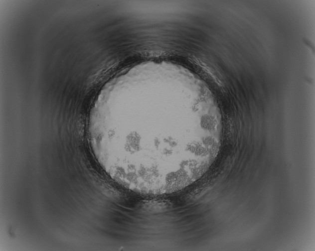 X0000091680545200709201241