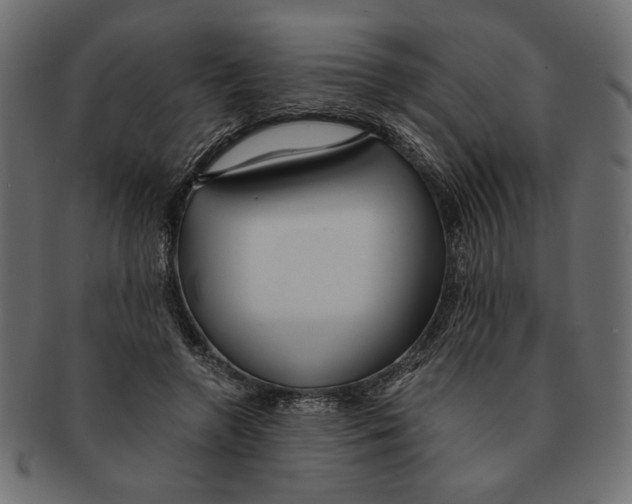 X0000091680546200709201241