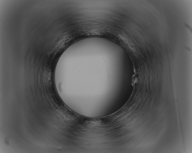 X0000091680548200709201241