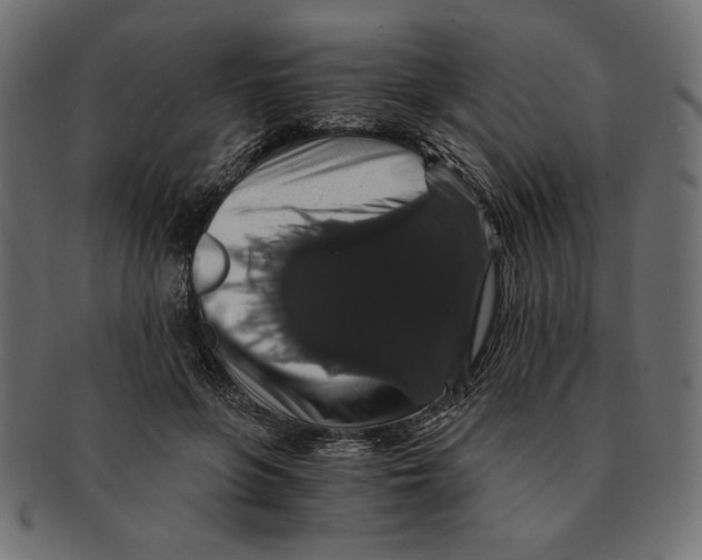 X0000091680551200709201241