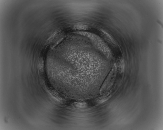 X0000091680552200709201241