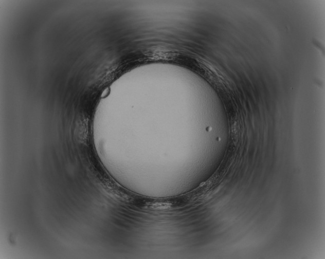 X0000091680554200709201241