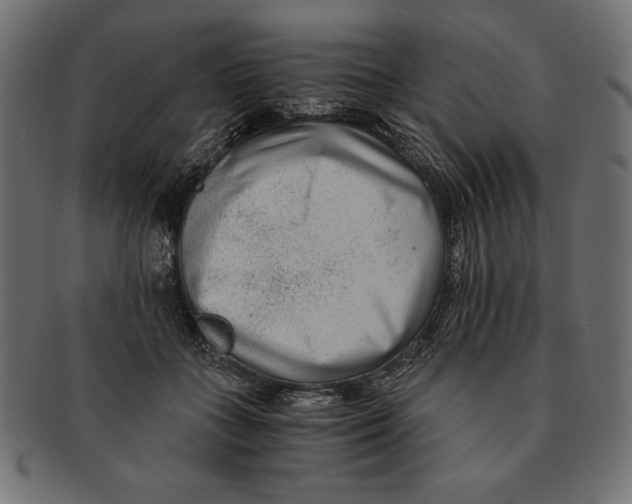 X0000091680555200709201241