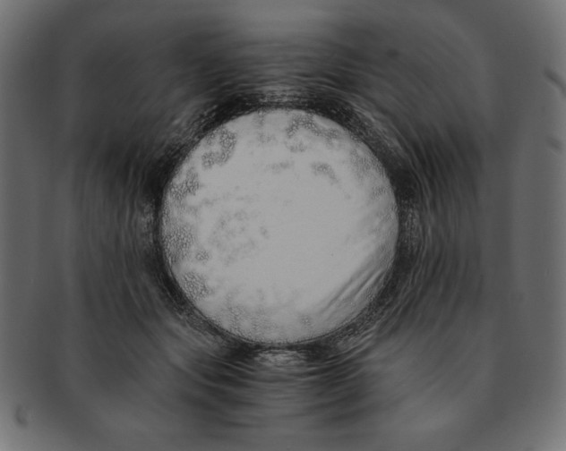 X0000091680557200709201241