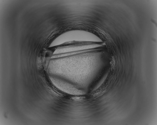 X0000091680558200709201241