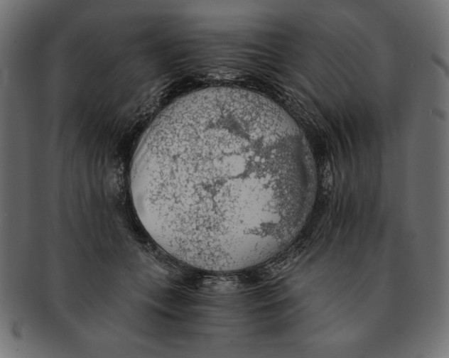 X0000091680559200709201241