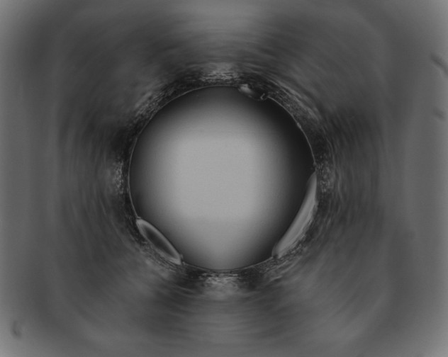 X0000091680560200709201241