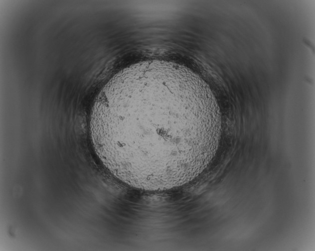 X0000091680561200709201241