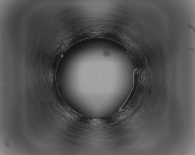 X0000091680562200709201241