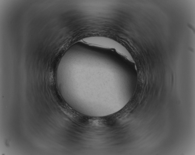 X0000091680564200709201241