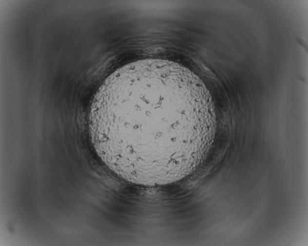 X0000091680565200709201241