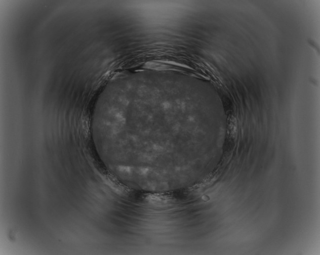 X0000091680568200709201241