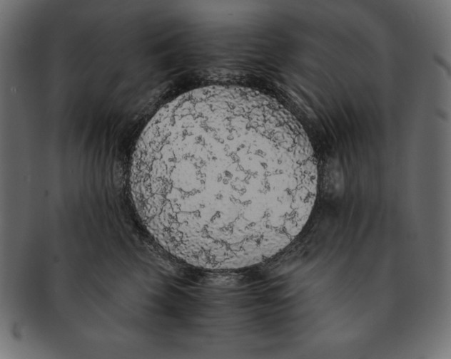 X0000091680569200709201241