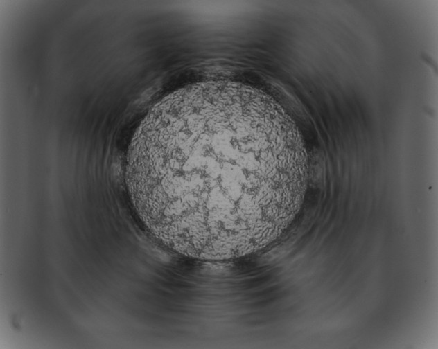 X0000091680573200709201241