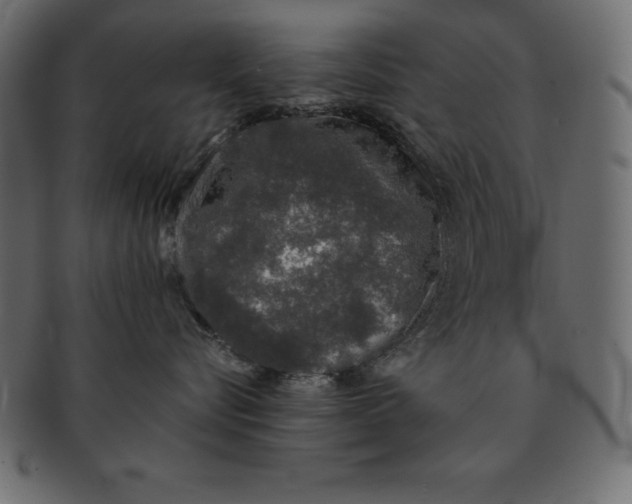 X0000091680576200709201241