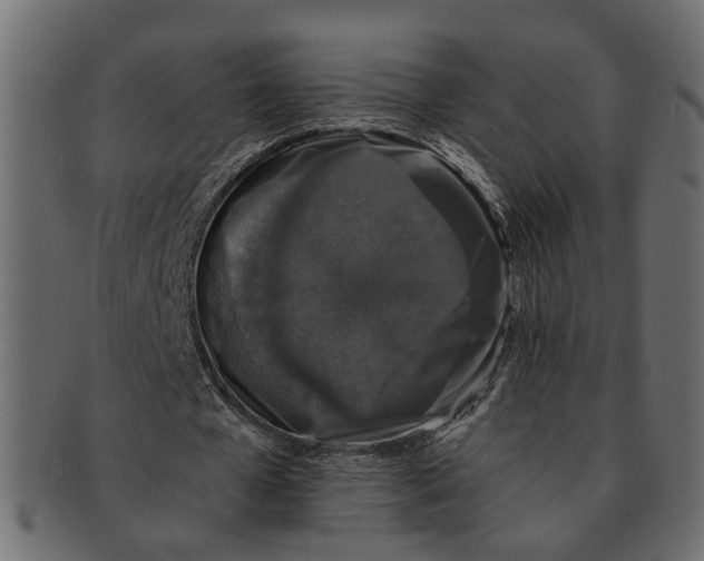 X0000091680577200709201240