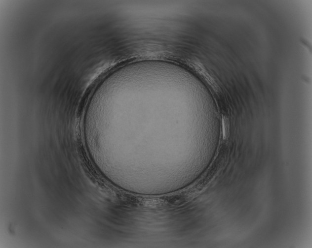 X0000091680579200709201240