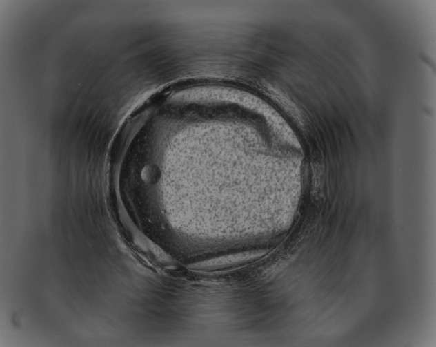 X0000091680580200709201240