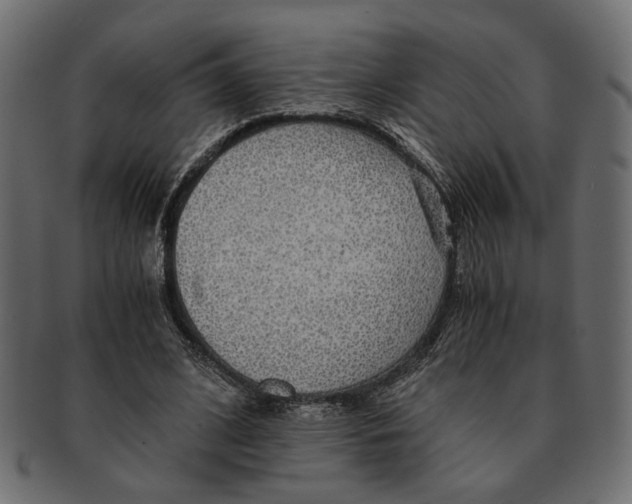 X0000091680584200709201240