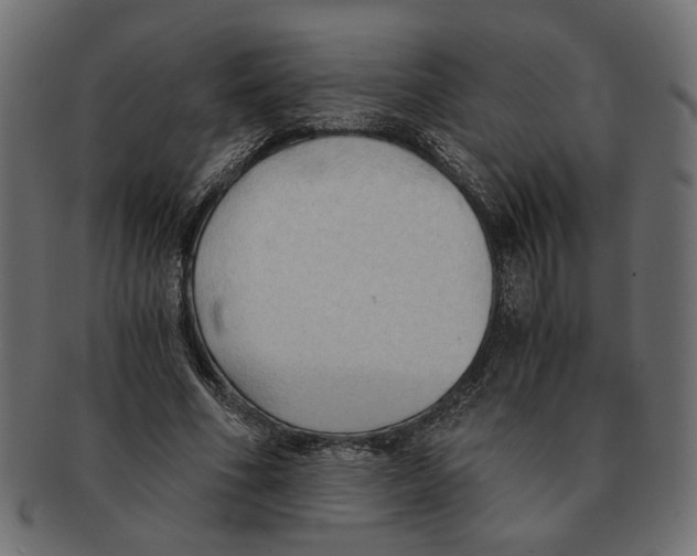 X0000091680586200709201240