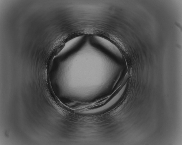 X0000091680589200709201240