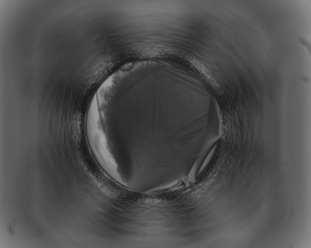 X0000091680590200709201240