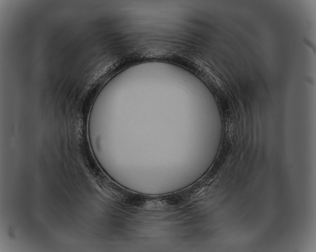 X0000091680591200709201240