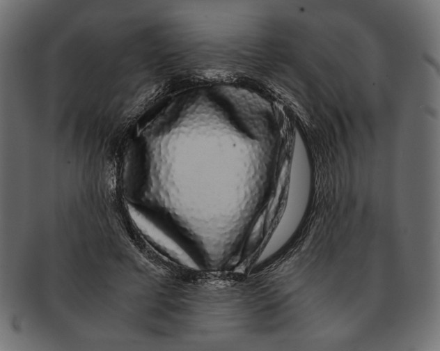 X0000091680593200709201240