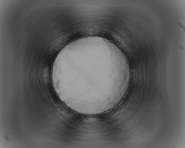 X0000091680594200709201240