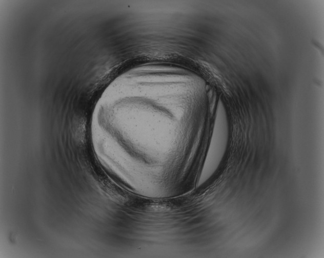 X0000091680596200709201240