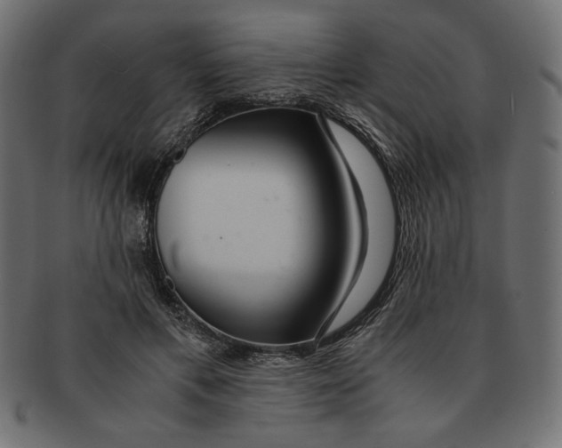 X0000091680597200709201240