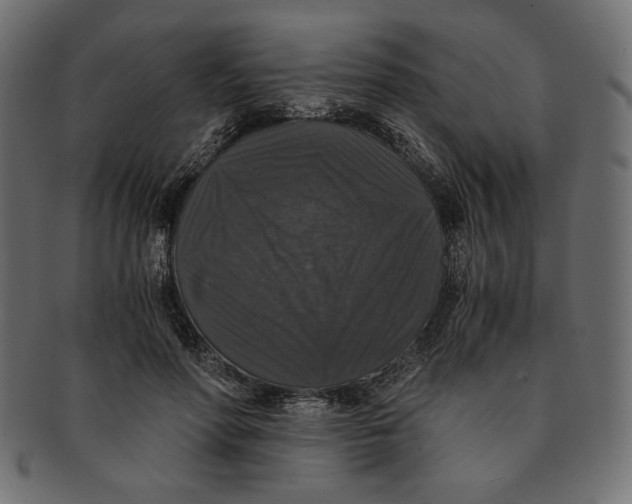 X0000091680598200709201240