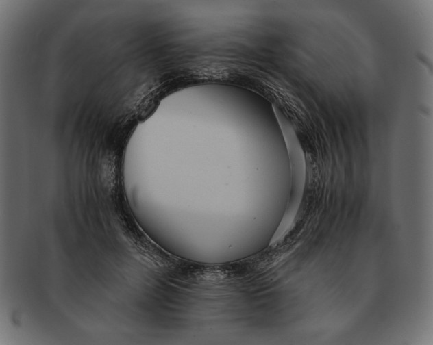 X0000091680600200709201240