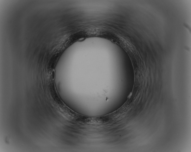 X0000091680601200709201240