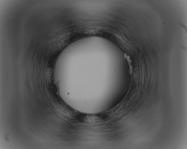 X0000091680605200709201240