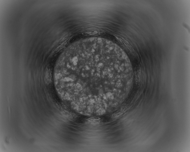 X0000091680606200709201240