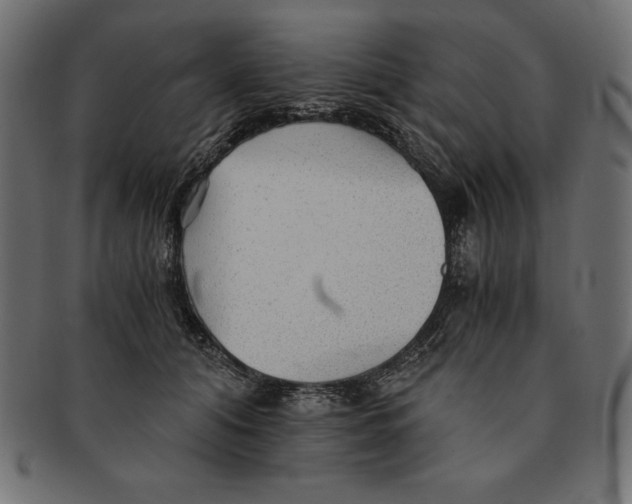 X0000091680608200709201240