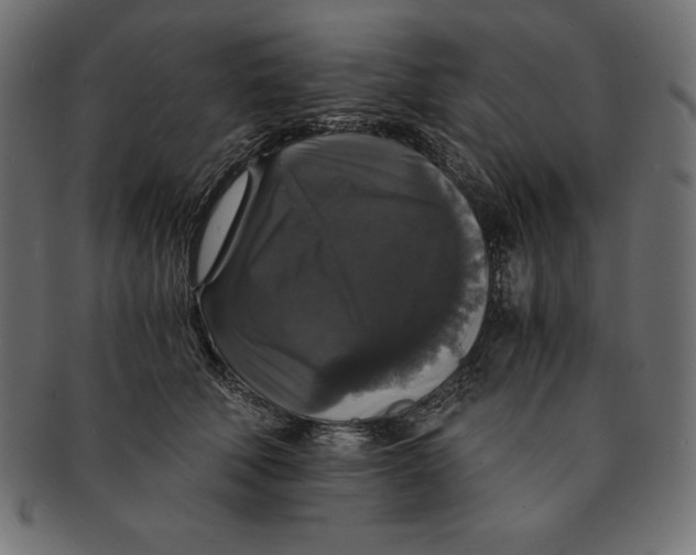 X0000091680610200709201240