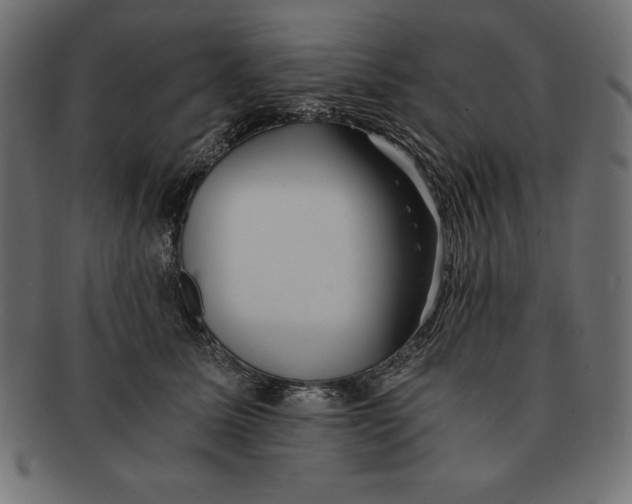 X0000091680611200709201240