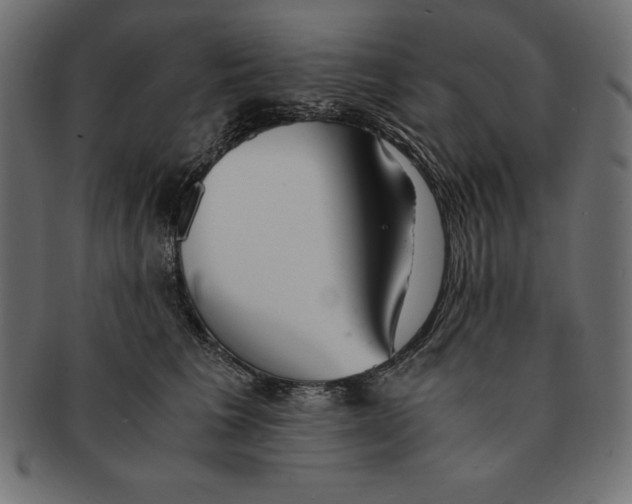 X0000091680613200709201240