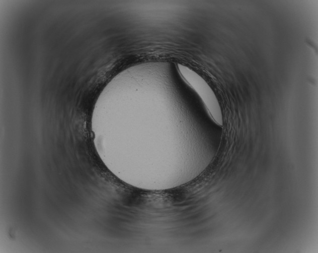 X0000091680615200709201240