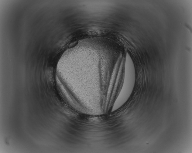 X0000091680616200709201240