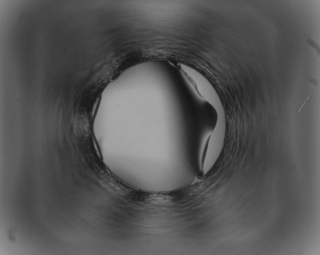 X0000091680617200709201240