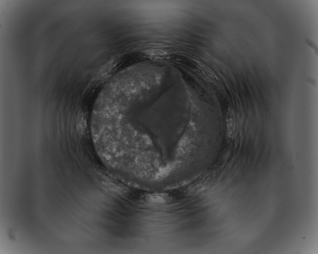 X0000091680618200709201240