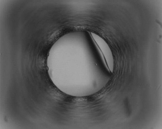 X0000091680619200709201240